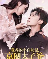 我养的小白脸是京圈太子爷 高清封面