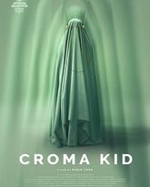 克罗马小子 热播剧封面