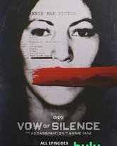 沉默的誓言 安妮 梅的暗杀 高清封面