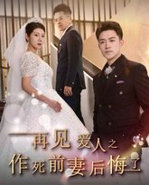 再见爱人之作死前妻后悔了 高清封面