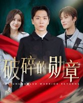 破碎的勋章（被戏子侮辱后我国士的身份曝光） 高清封面