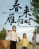 春来雁归时 高清封面