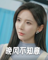 晚风不知意 高清封面