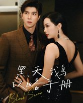 黑天鹅攻略手册 高清封面