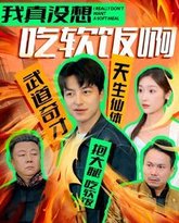 我真没想吃软饭啊 高清封面