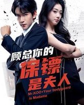 顾总你的保镖是夫人 高清封面