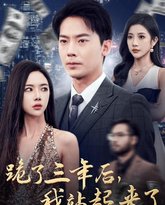 跪了三年后，我站起来了 高清封面