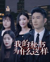 我的秘书为什么这样 高清封面