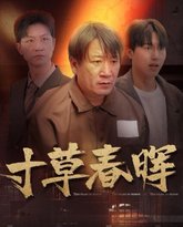 寸草春晖 高清封面