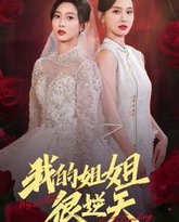 我的姐姐很逆天 高清封面