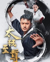 太极至尊 高清封面