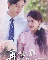 再也不敢跟总裁要500万了 高清封面