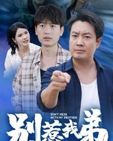 别惹我弟 高清封面