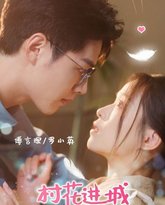 村花进城奇遇记 高清封面