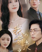 我的前夫老公 高清封面