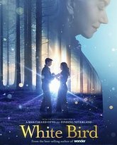 白鸟：奇迹 封面