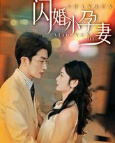 新闪婚小孕妻 高清封面
