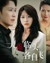 新：大难临头各自飞 高清封面