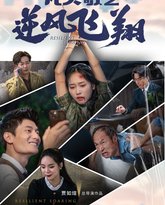 凡人歌之逆风飞翔 高清封面