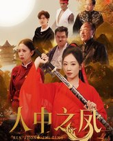 人中之凤 高清封面