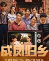 女总裁成凤归乡 高清封面