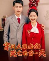 穿到大佬老公死亡的前一天 高清封面