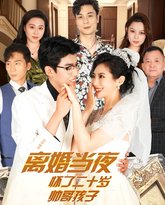 离婚当夜怀了二十岁帅哥 高清封面