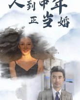 人到中年正当婚 高清封面