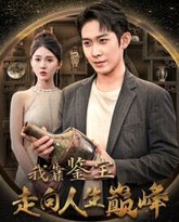 我靠鉴宝走向人生巅峰 高清封面