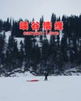 峡谷情缘 高清封面