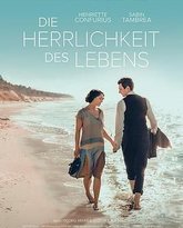 生命的荣耀 封面