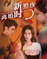 新婚夜，离婚时 高清封面