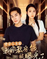 老婆上节目，我的私房钱被曝光了 高清封面