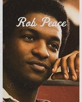 被盗的和平 封面