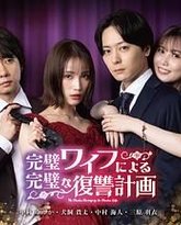 完美妻子的完美复仇计划 封面