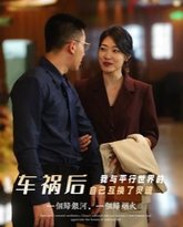 车祸后我与平行世界的自己互换了灵魂 高清封面