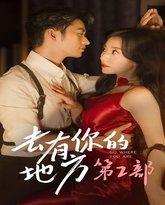 去有你的地方第2部 高清封面