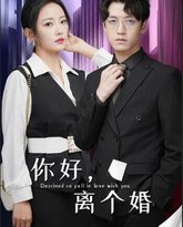 你好，离个婚 高清封面