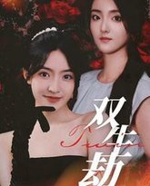 双生劫 高清封面