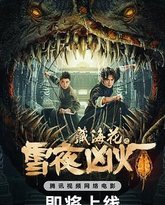 藏海花之雪夜凶灯 高清封面
