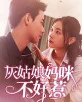 灰姑娘妈咪不好惹 高清封面