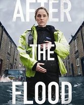 洪水之后 封面