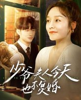 少爷夫人今天也不复婚 高清封面
