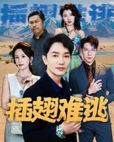 插翅难逃 高清封面