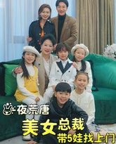 一夜荒唐美女总裁带5娃找上门 高清封面