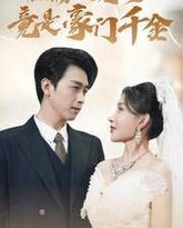 植物人老婆竟是豪门千金 高清封面