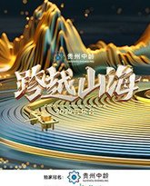 跨越山海2024音乐会 高清封面