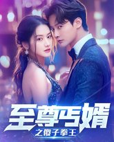 至尊傻婿之傻子拳王（傻夫甜妻） 高清封面