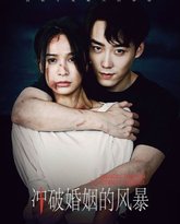 冲破婚姻的风暴 高清封面