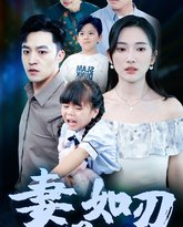 妻心如刃 高清封面